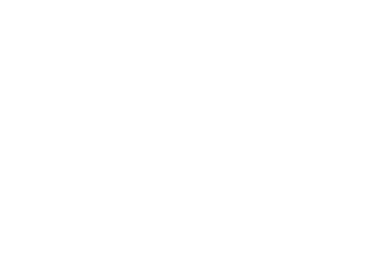 Launch website WordPress