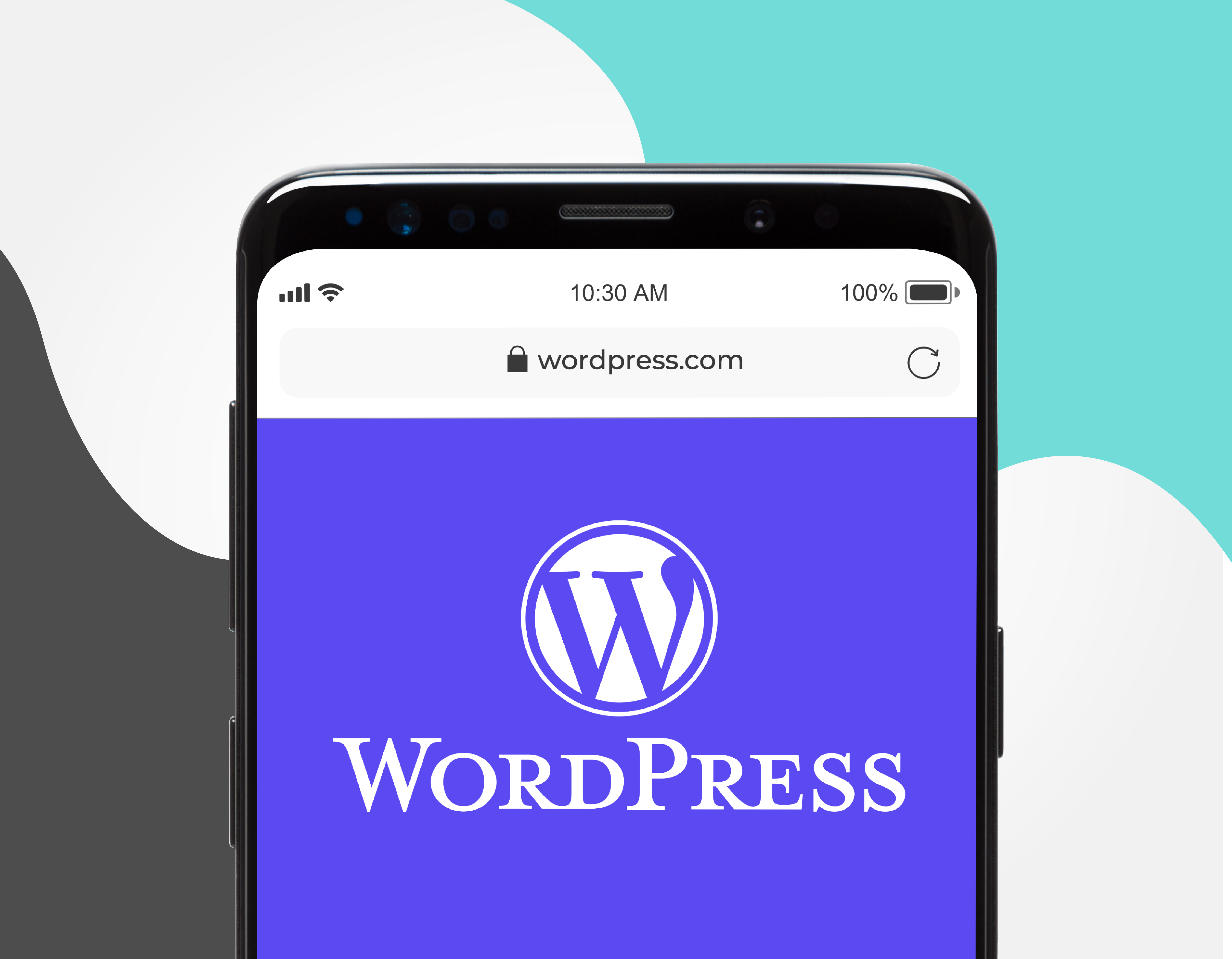 Launch website WordPress